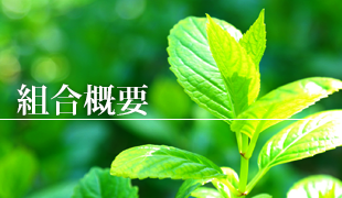 組合概要のイメージ