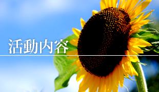 活動内容のイメージ